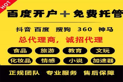 解析SEM竞价代运营公司的技术实力与服务优势